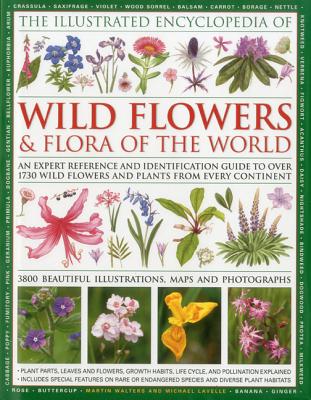 Wildflowers